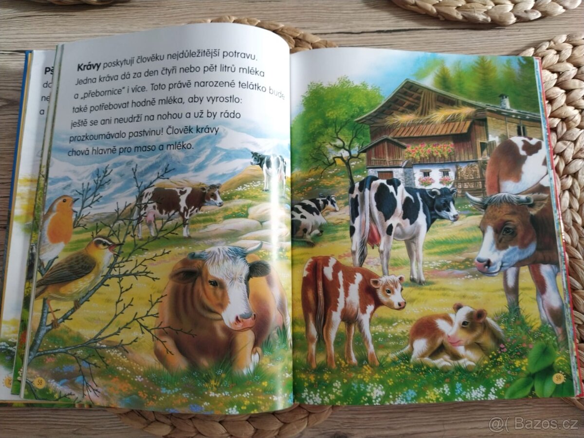 Velká kniha zvířata celého světa - 5