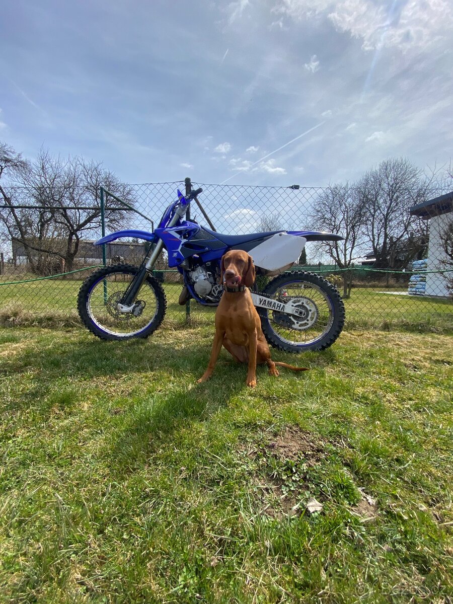 Yz 125