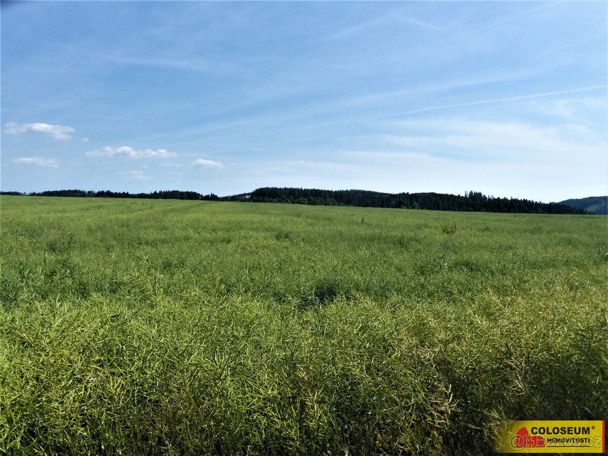 Letovice - zemědělská půda 7 225 m² - pozemek - 5