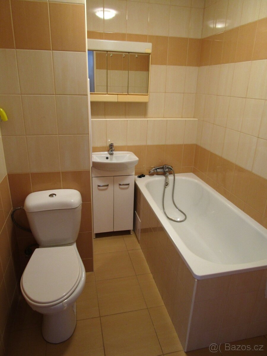 Garsonka, Želenice, Děčín - 5