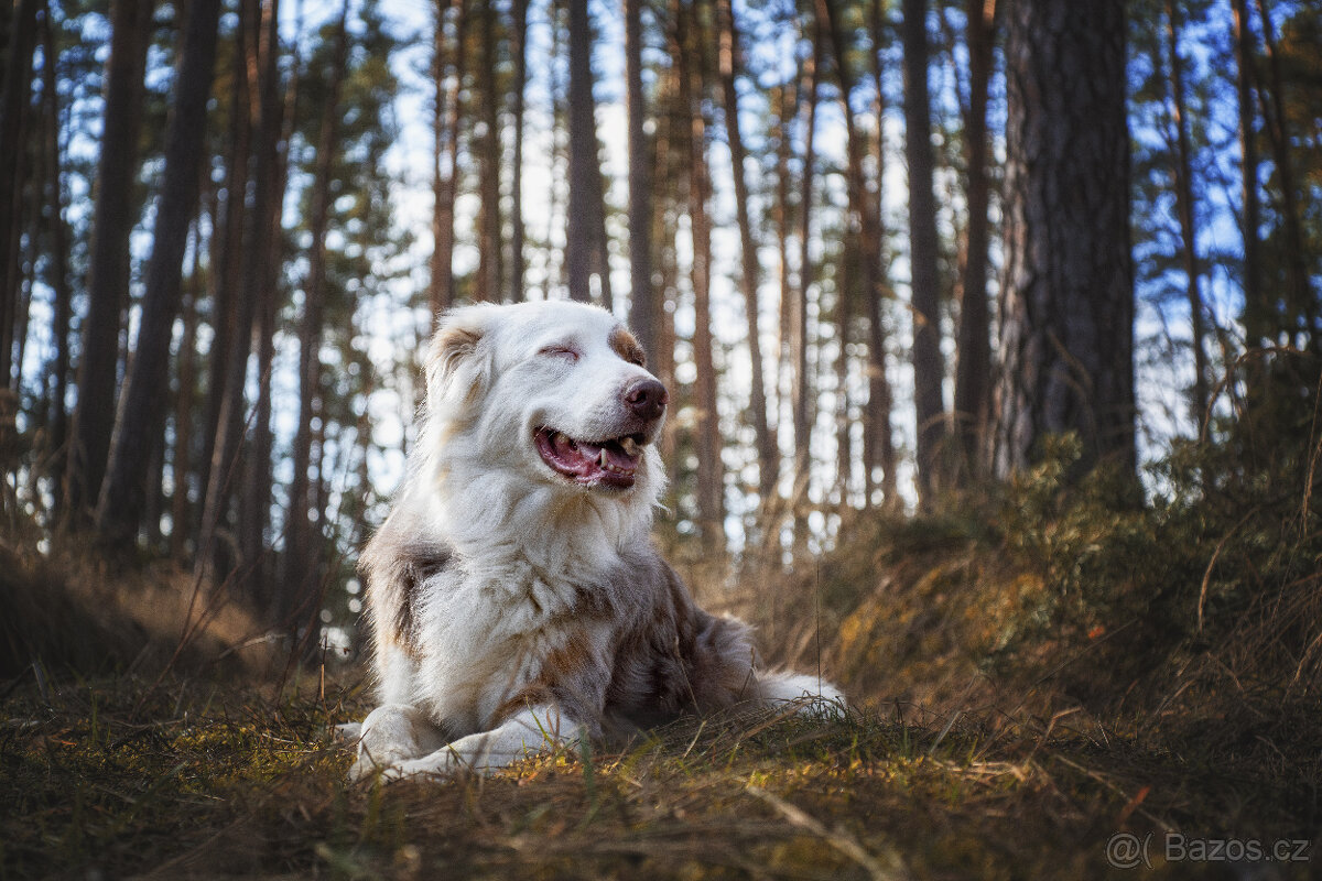 Meopta Belar 50/4,5 Sony E - 5