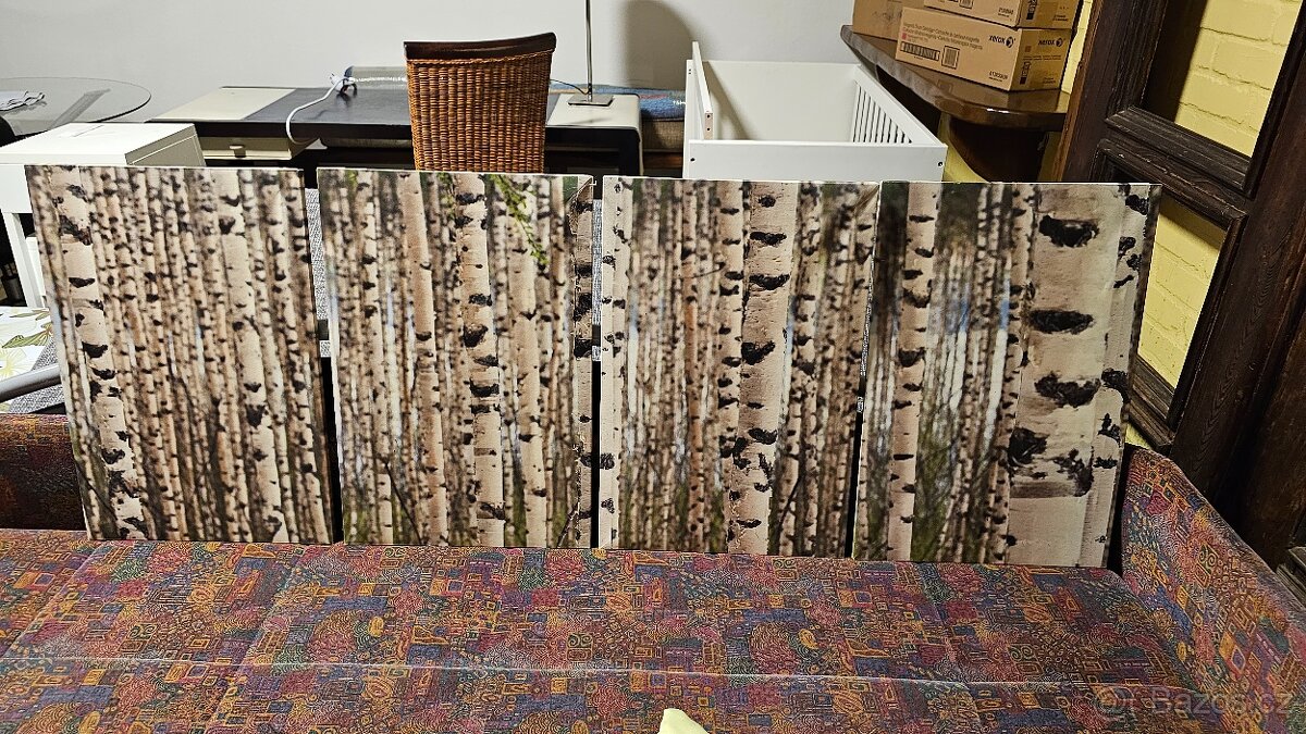 OBRAZY - různé druhy - 5