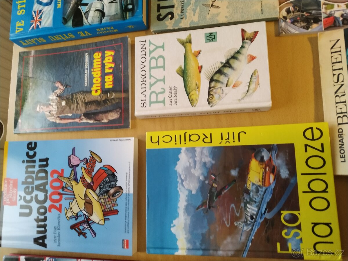 Nadbytečné knihy - 5