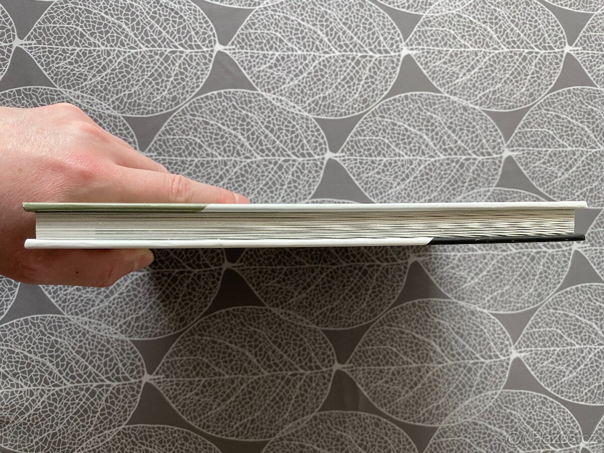 Nová kniha Adele - Příběh písní - 5