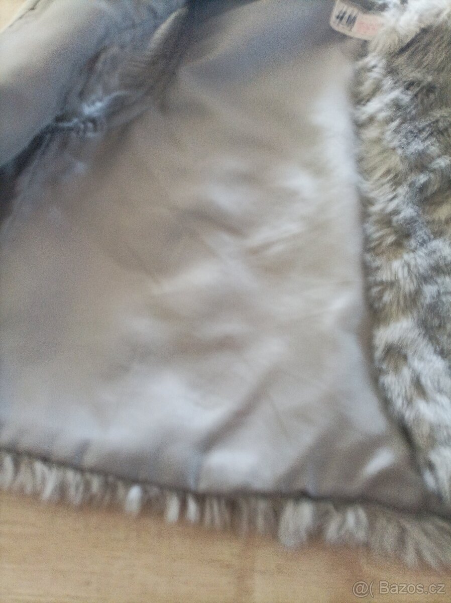 Chlupatá vesta 134,98 - 5