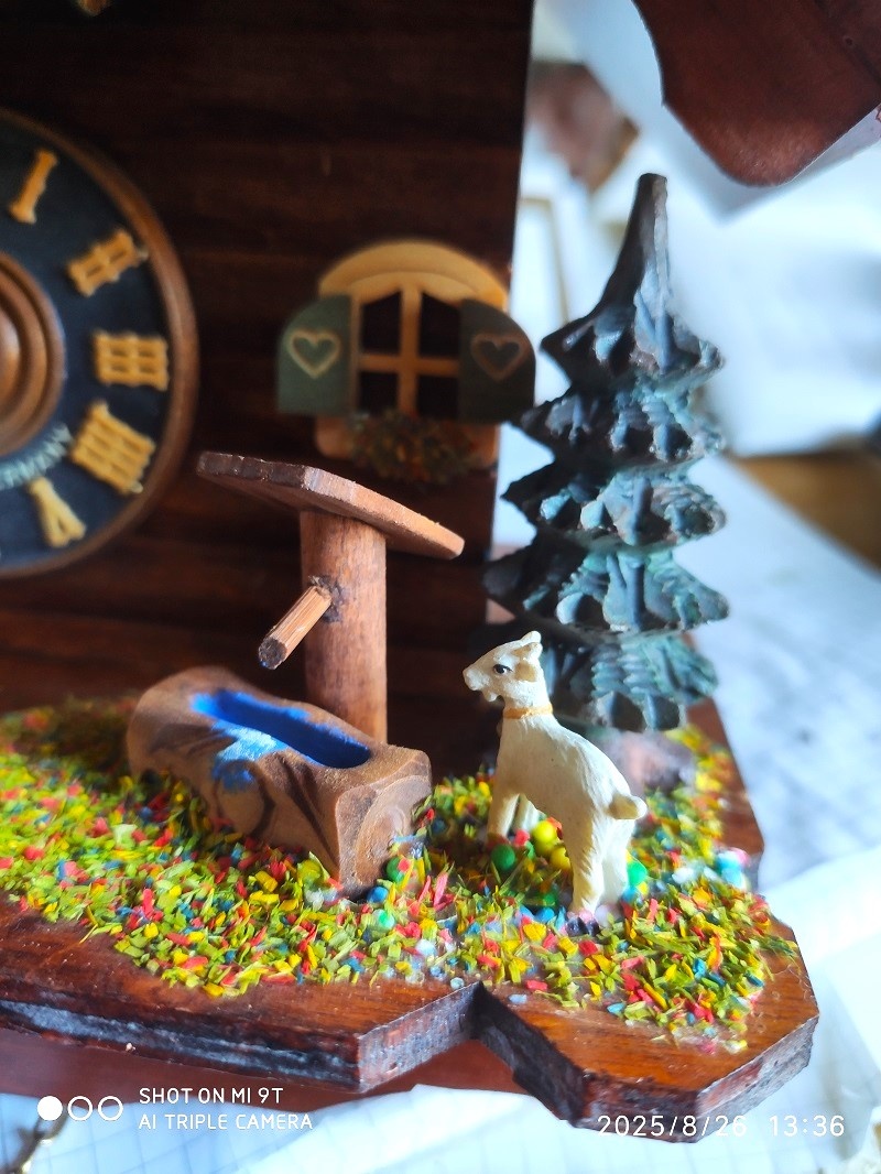 Hezke, kukacky, Schwarzwald - 5