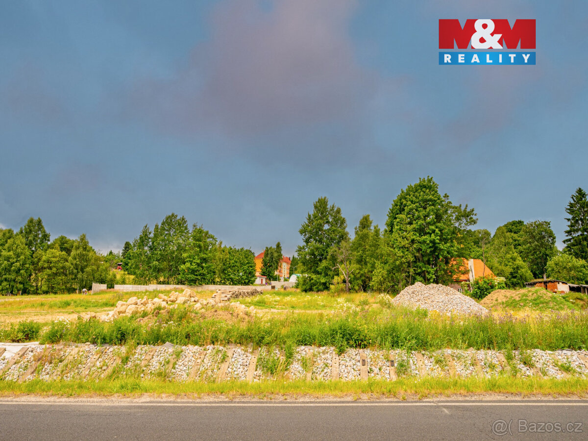 Prodej komerčního pozemku, 10168 m², Dolní Nivy - 5