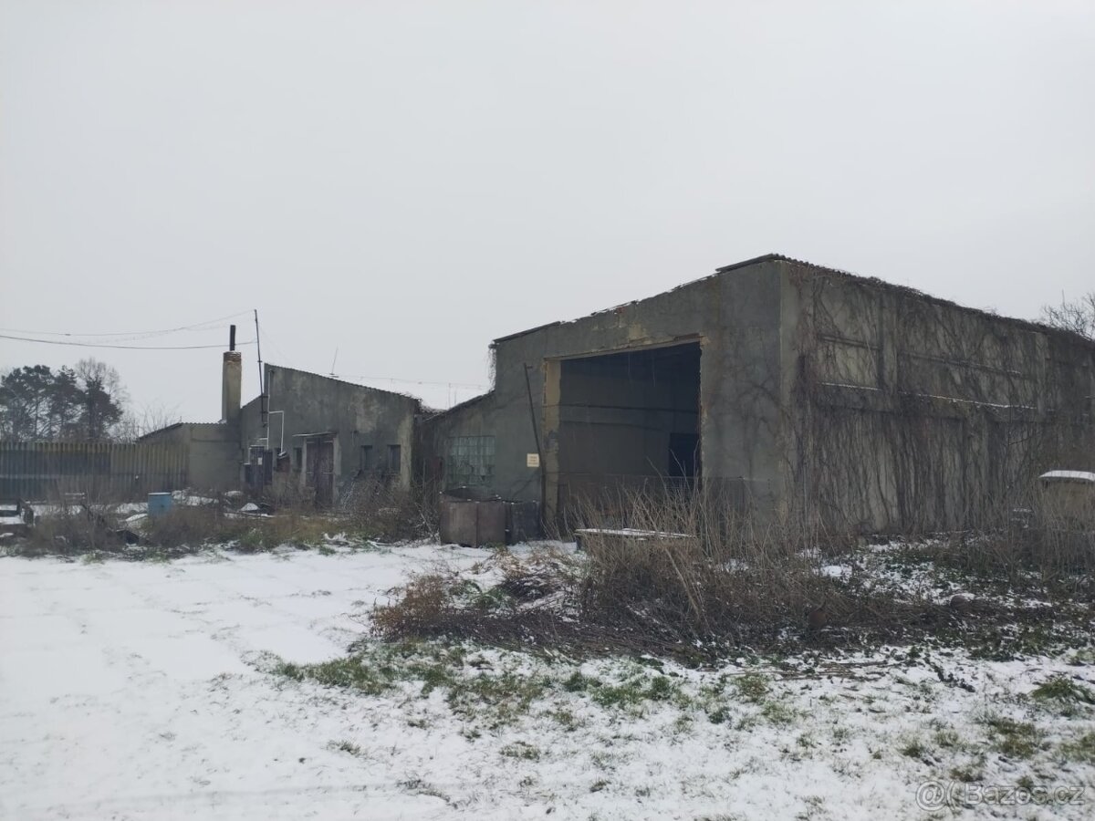 Prodej zemědělského objektu 5600 m² - 5