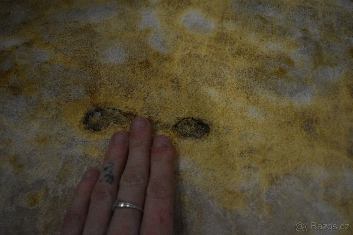 Jezevec č.4 - Ručně zpracovaná kožešina z české zvěře - 5