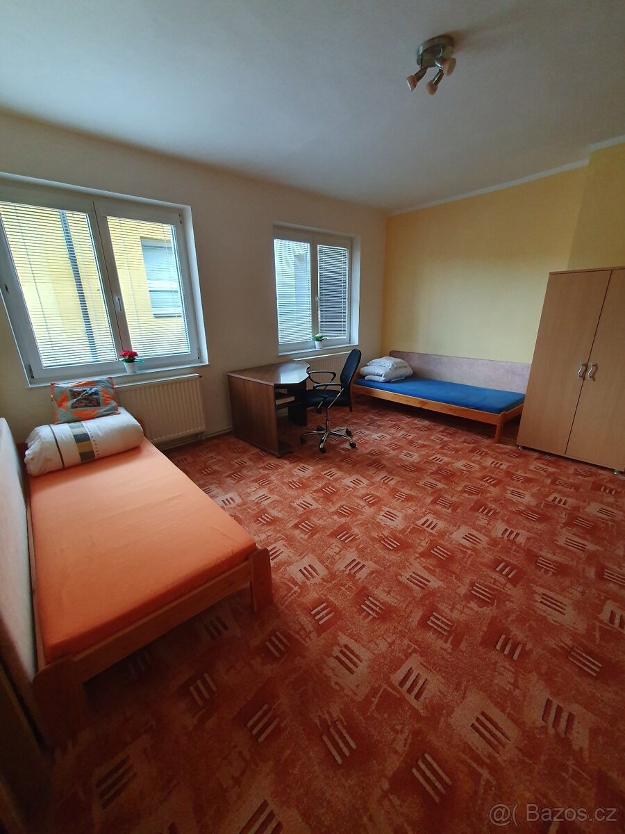 Bytu 4+1, 110m2, Mikulovice 790 84 - 5