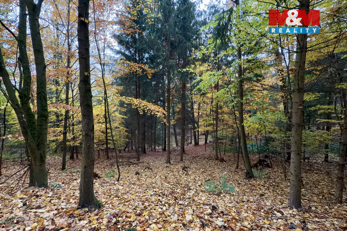 Prodej lesa, 6855 m², Jestřebí - 5