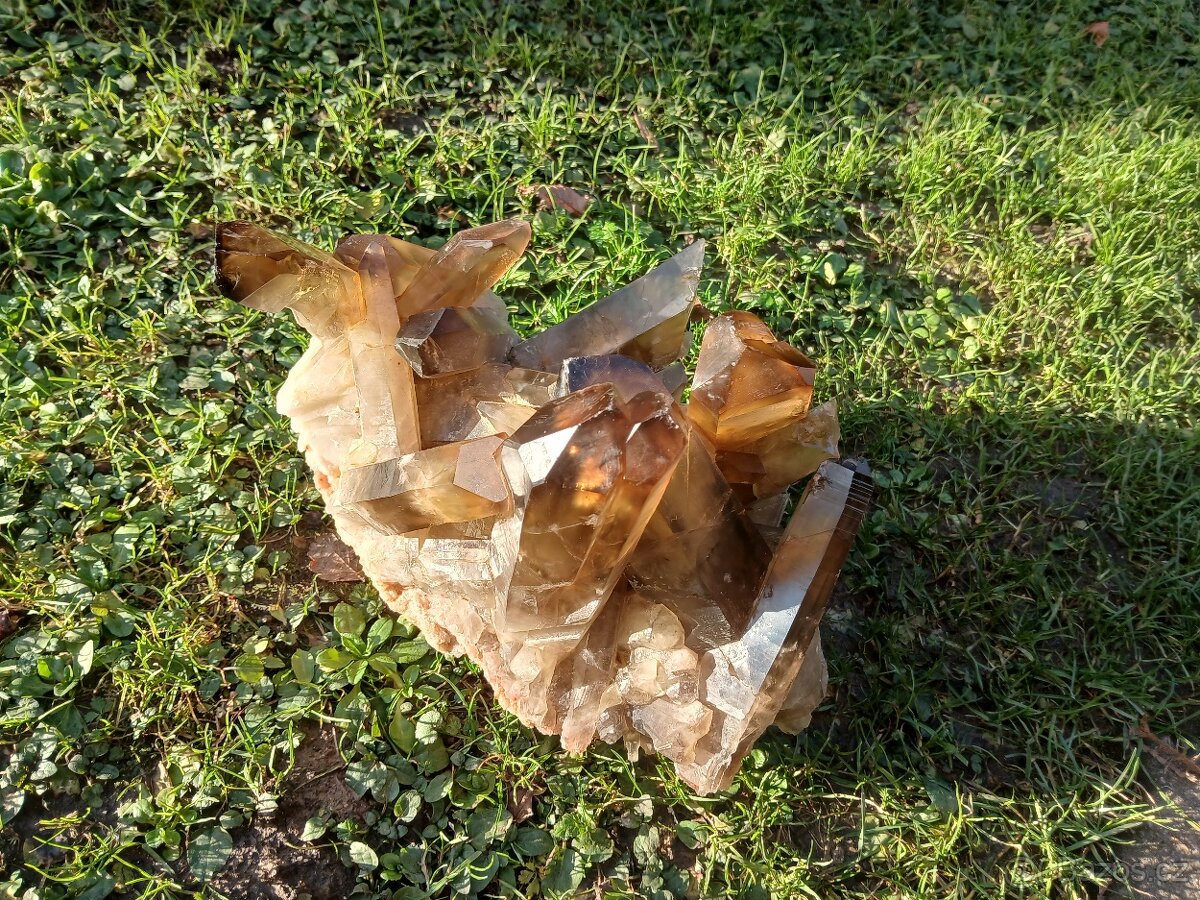 Citrin , velká drůza 6kg - 5