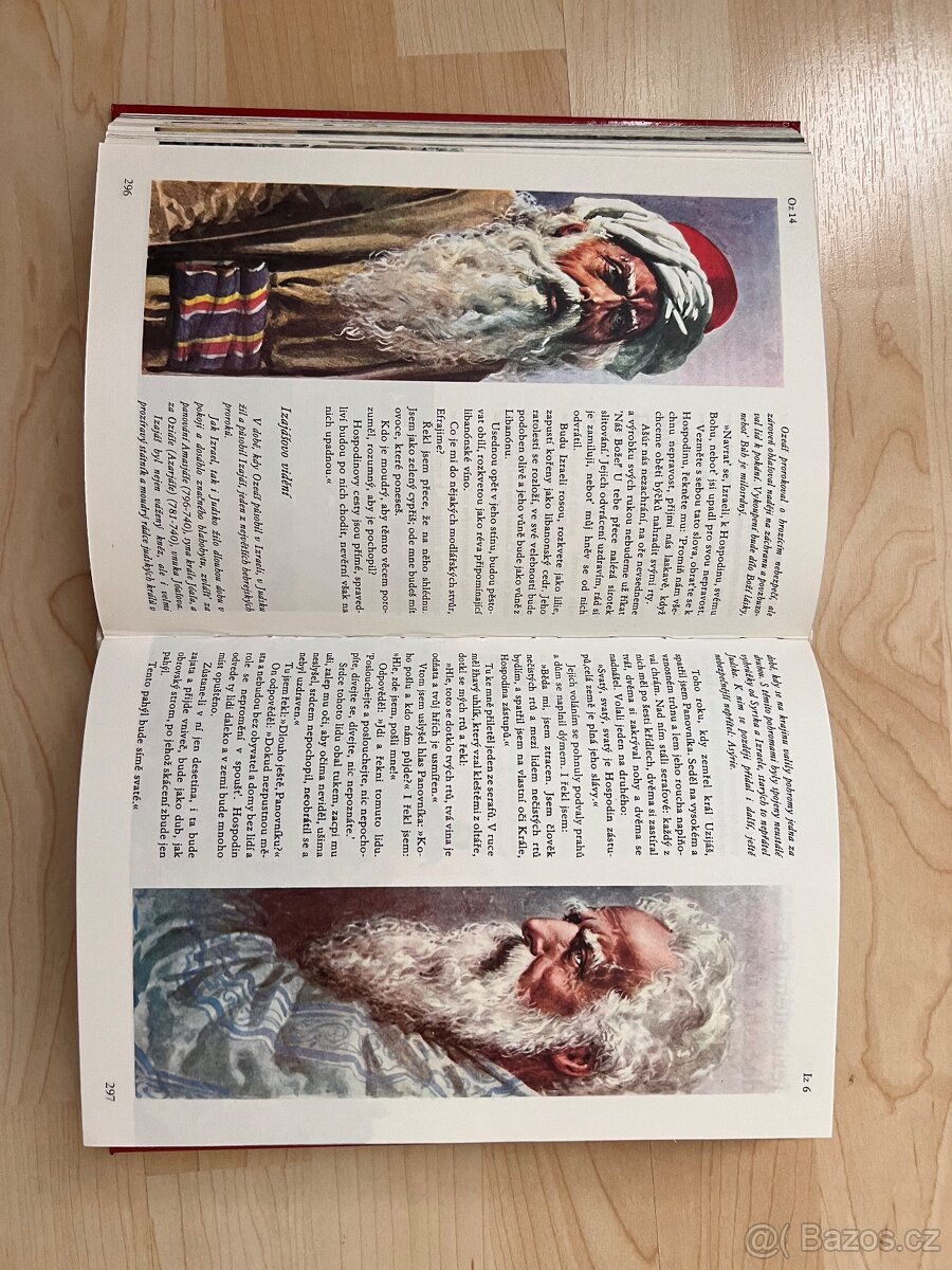 Ilustrovaná Bible pro mládež - 5