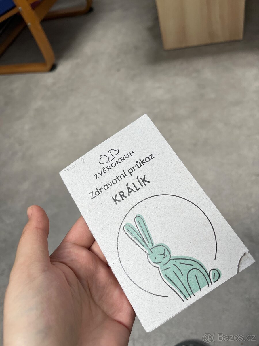 Samička králíka + klec - 5