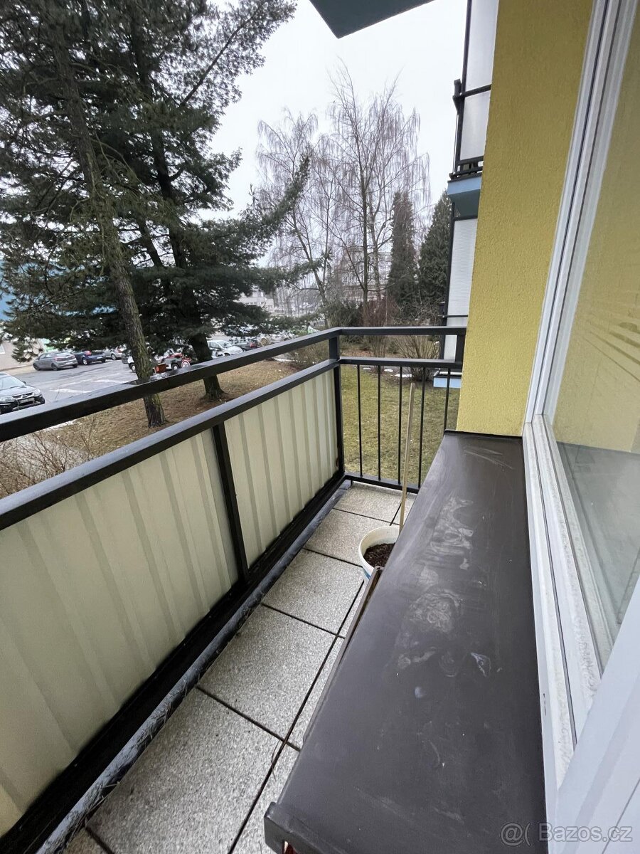 Pronájem hezkého bytu 1+1 - 5