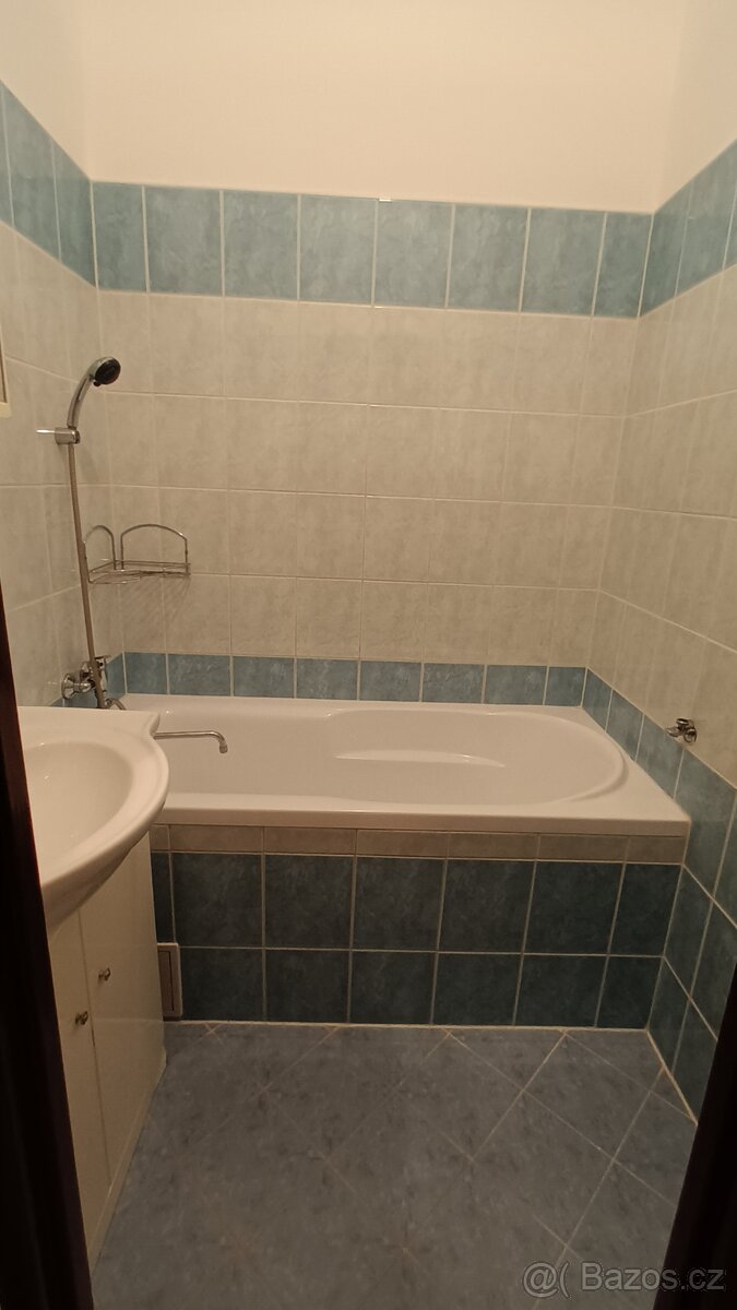 Pronájem bytu 2 + 1 - 5