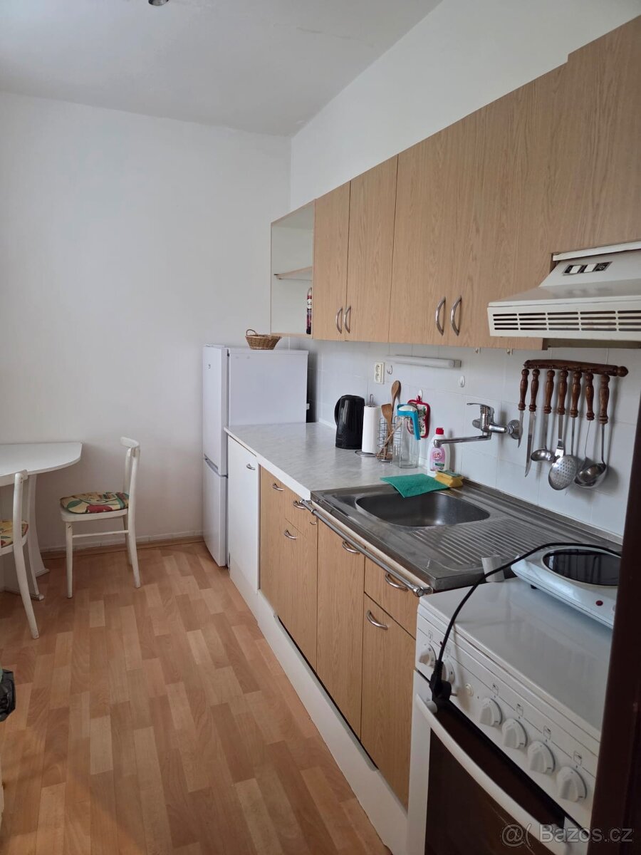 Pronájem byt 2+1 - 5