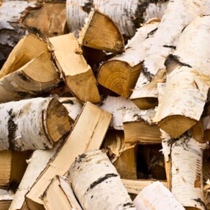 Palivové dříví - 5
