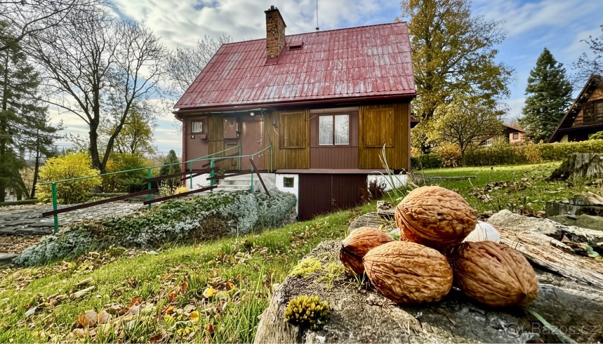 Prodej chaty, Město Albrechtice - Česká Ves - 5