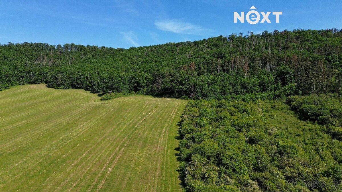 Prodej pozemek Lesy, 3149㎡ - 5