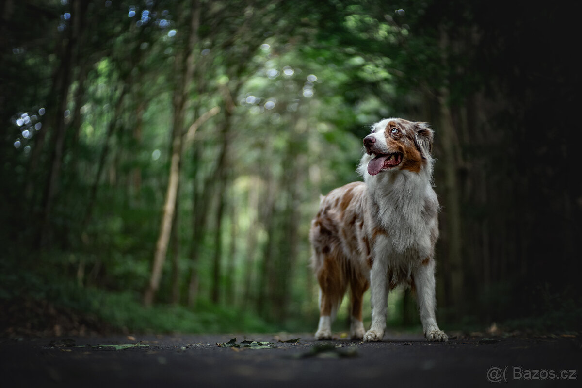 Meopta Meostigmat 60/1,7 Sony E a další - 5