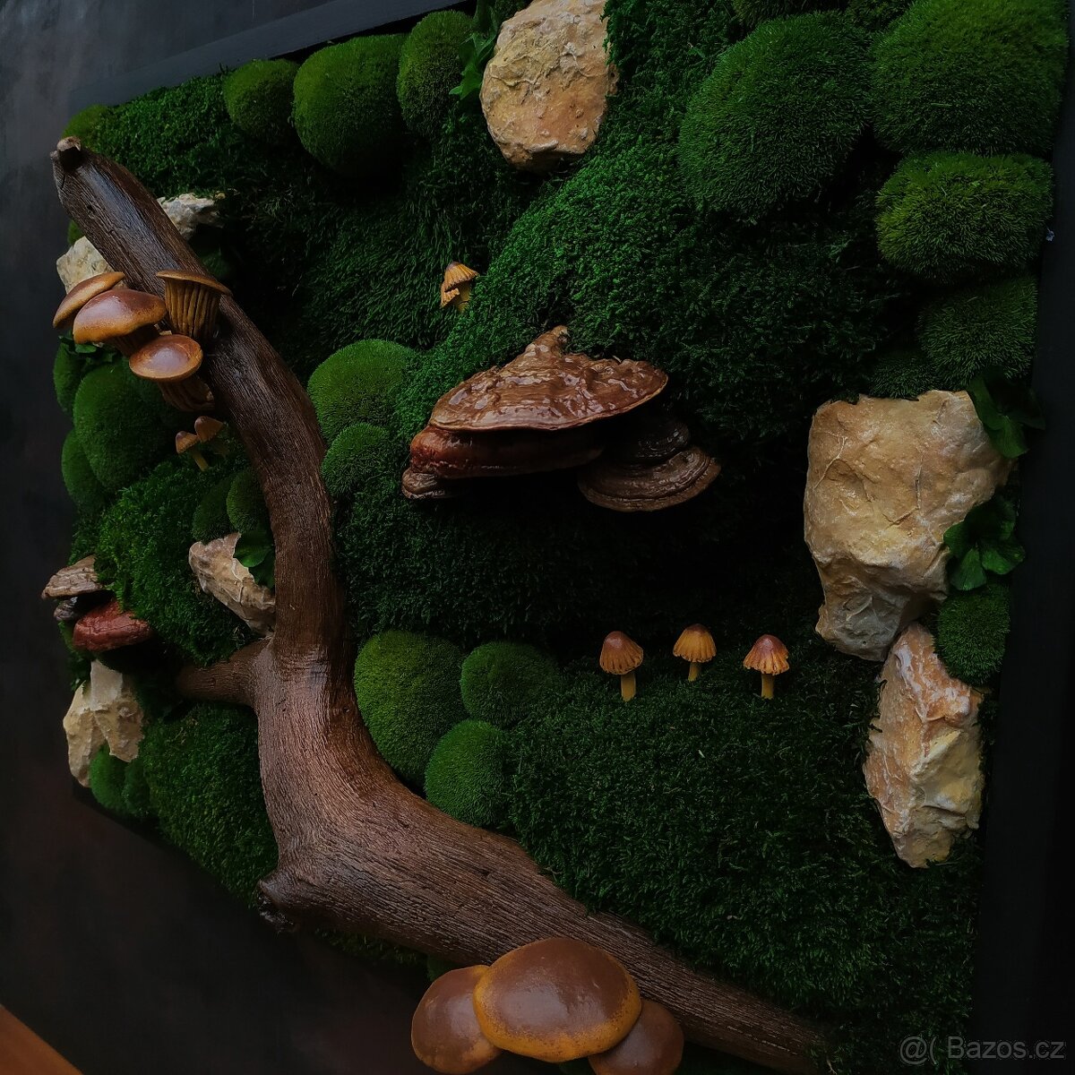 Mechový obraz / obraz ze stabilizovaného mechu - 5