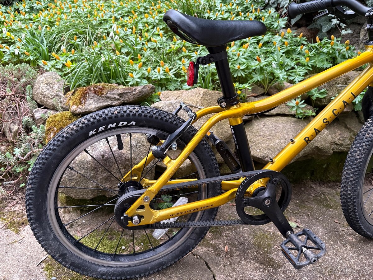 Kolo Rascal 16 Zlaté - 5