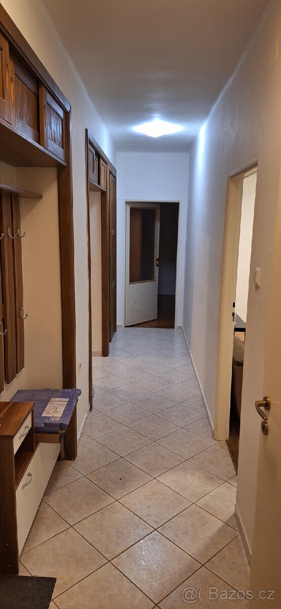 Pronajmu byt 3+1 v Podivíně - 5