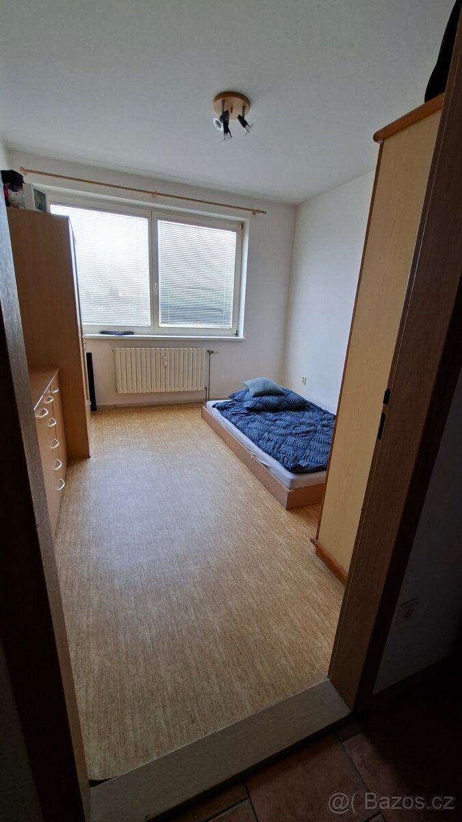 Pronájem bytu 2+1 Hodonín - 5