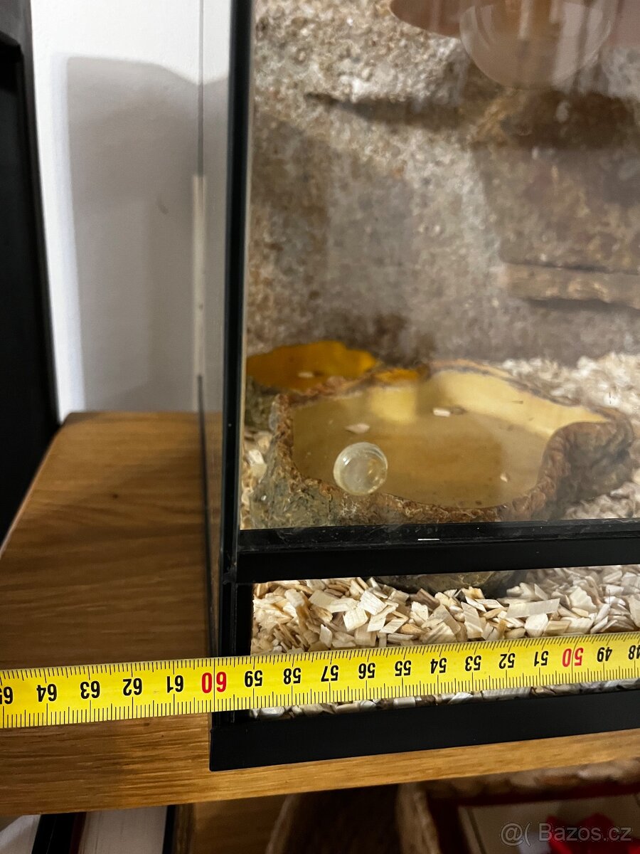 Terárium 60/30/35 - 5