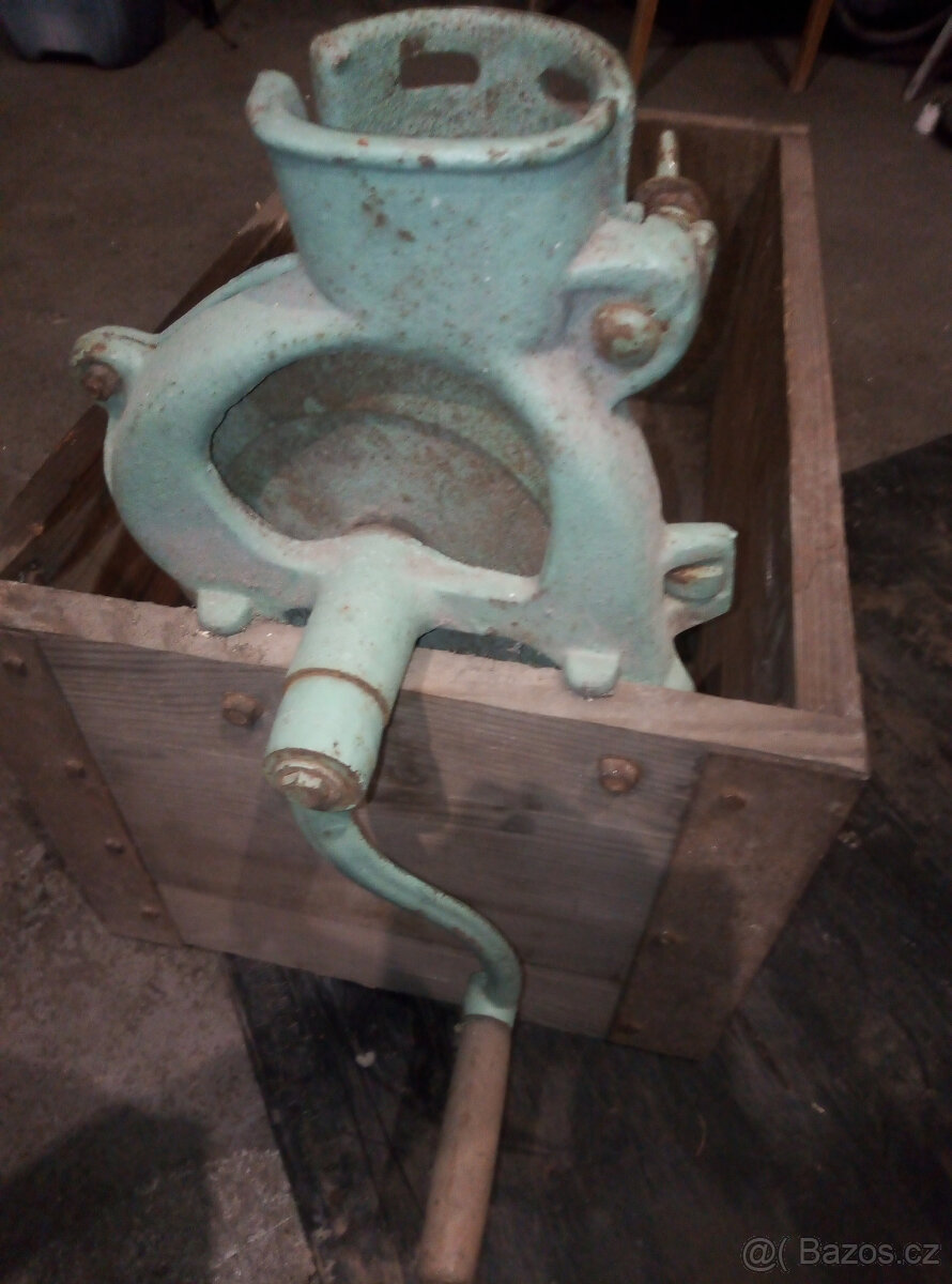 drhlík na kukuřici - 5