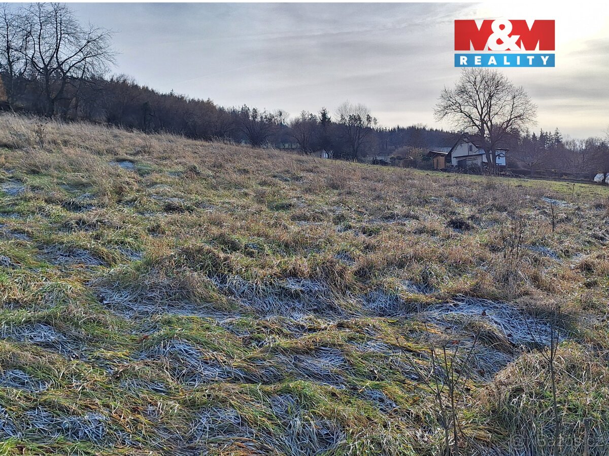 Prodej pozemku k bydlení, 989 m², Sušice - 5