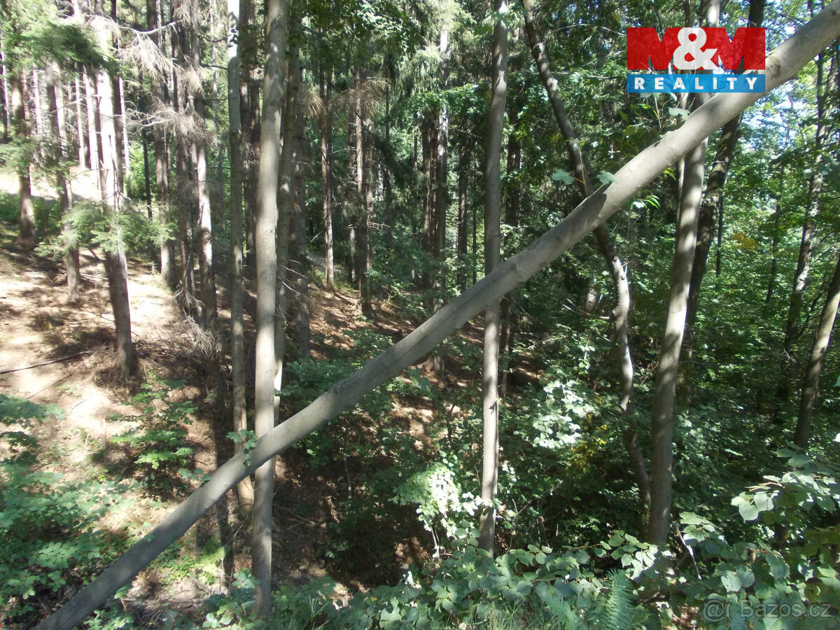 Prodej stavebního pozemku, 3955 m², Pstruží - 5