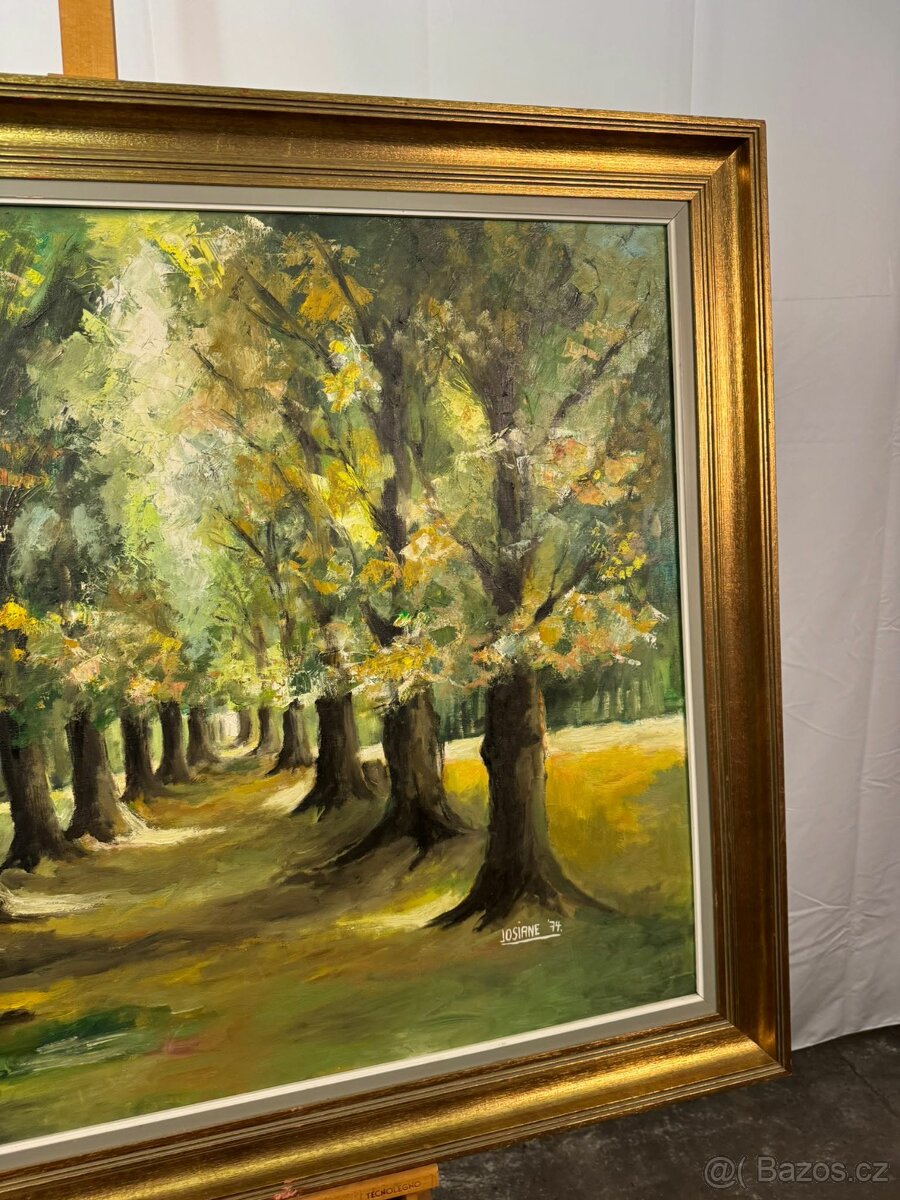 Olejomalba - aleje stromů (521013) - 5