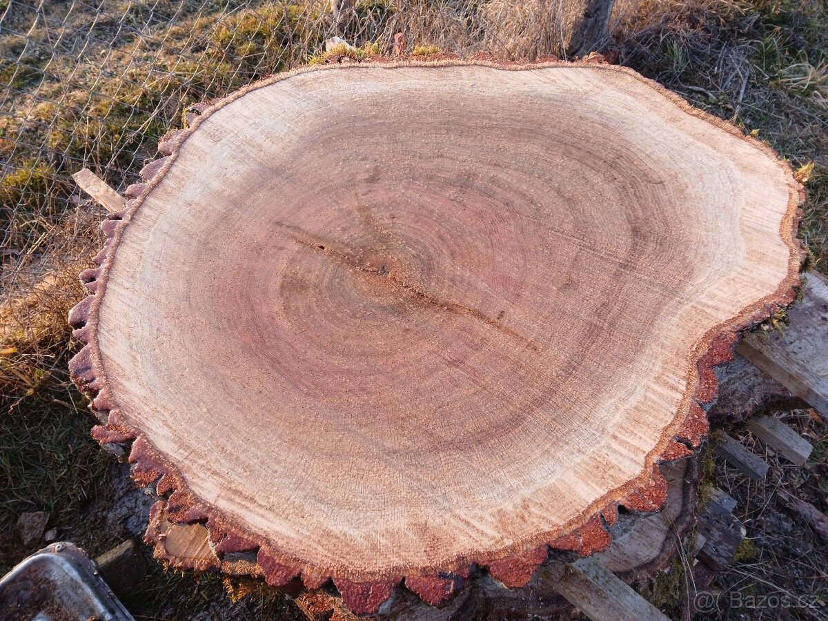 Dubové koláče - 5