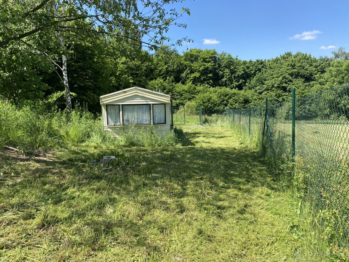 pronájem louky cca 24.000m2 chov koni - 5