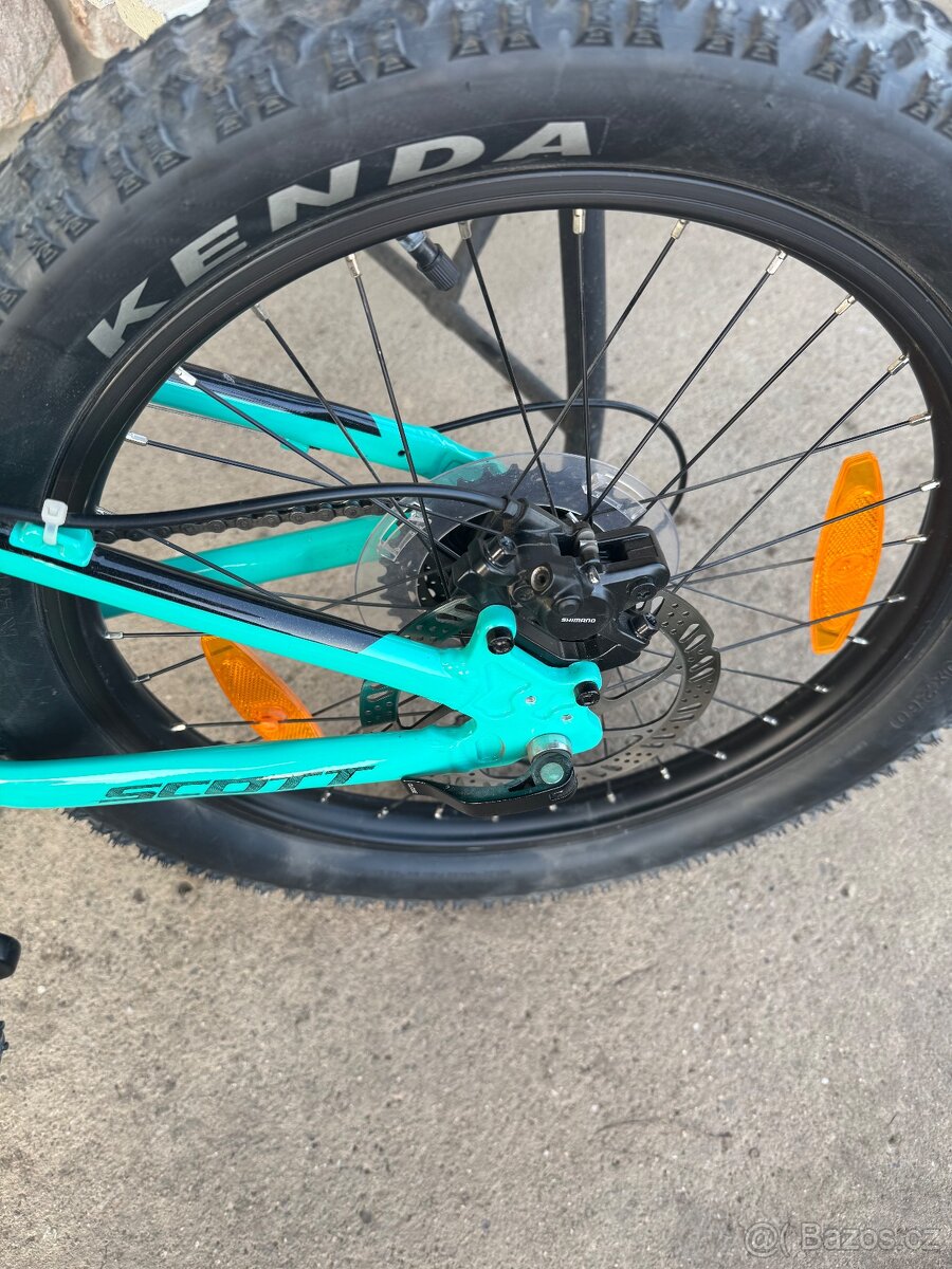 Scott Roxter 20” - 5