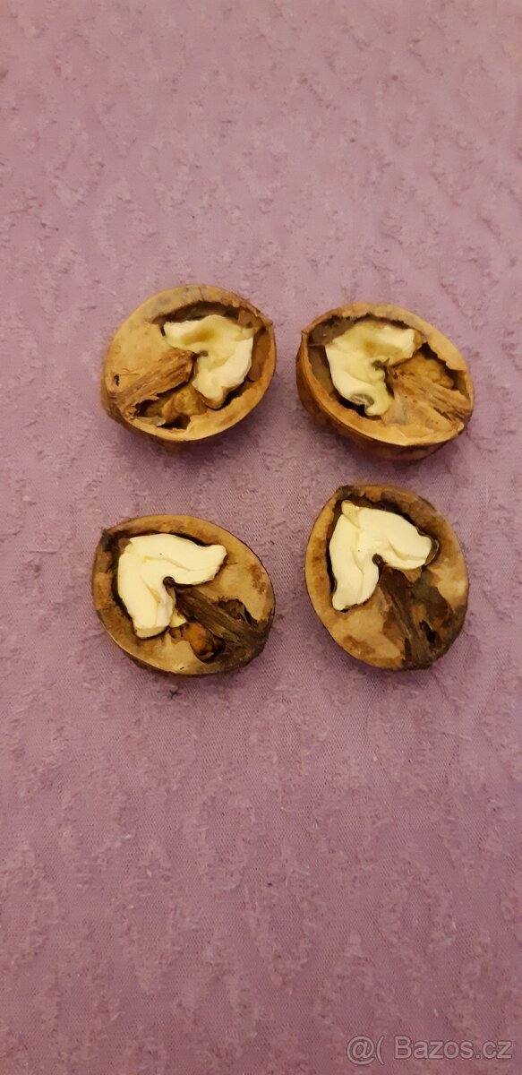 VLAŠSKÉ OŘECHY. - 5