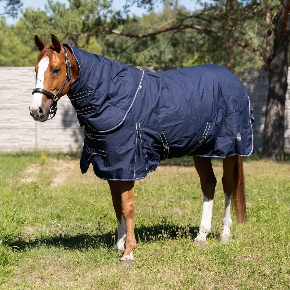 Pony deka - 5