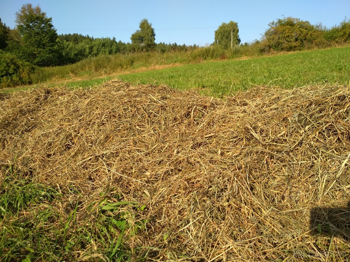 Prodám bio seno - 5