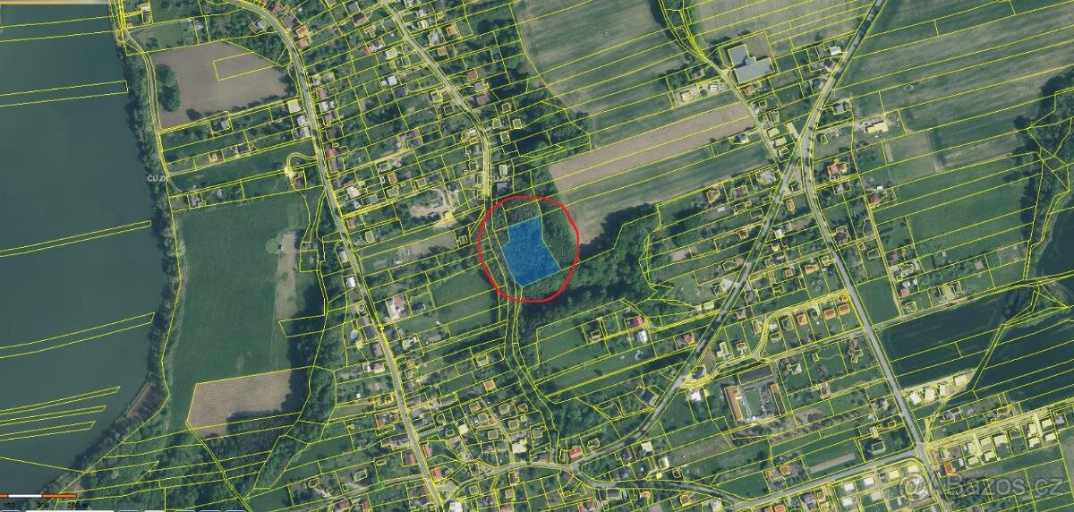 Prodám lesní pozemek v k.ú. Záblatí u Bohumína, p.č. 901/5 - 5