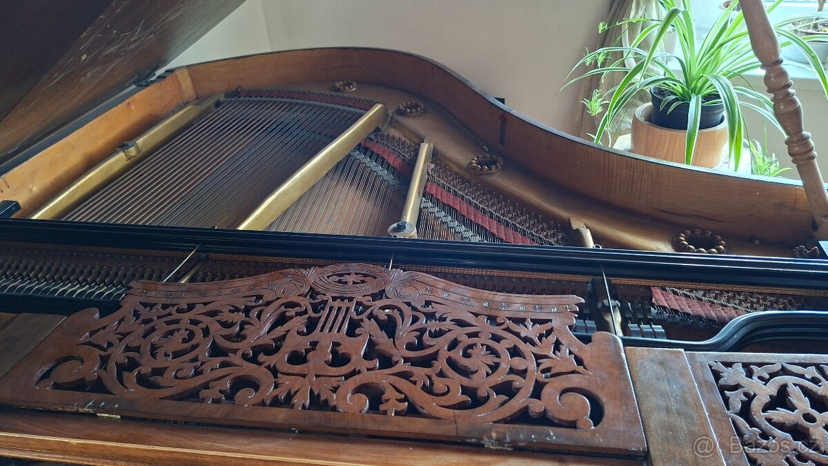 Klavír- křídlo - 5