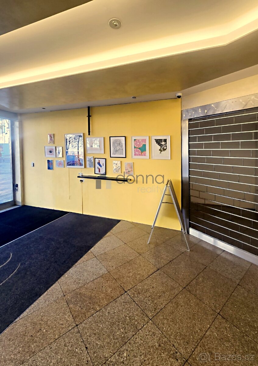 Pronájem obchodního prostoru 50 m² Václavské náměstí, Praha - 5