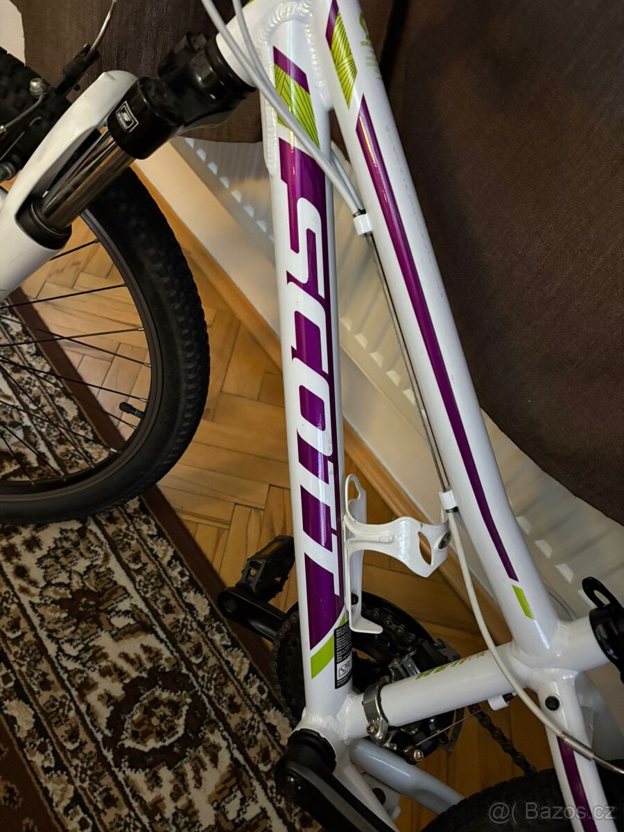 Scott Contessa - 5