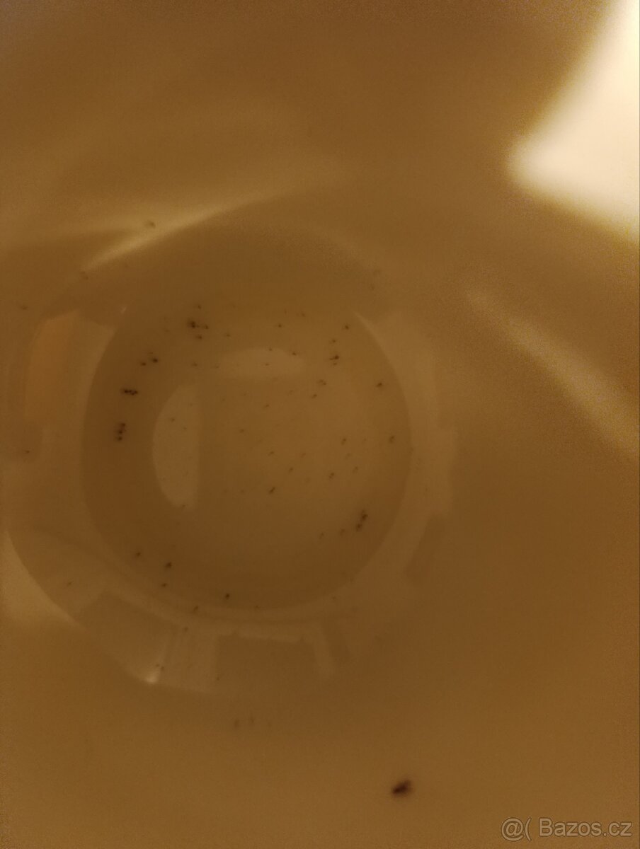 Keramický starý čajový servis s květy - Ditmar Urbach - 5