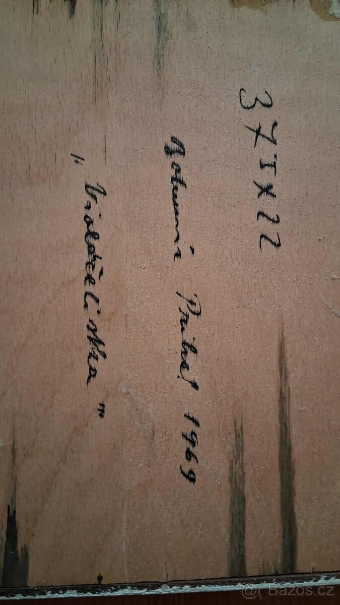 Bohumír Prihel - Violončelistka - 5