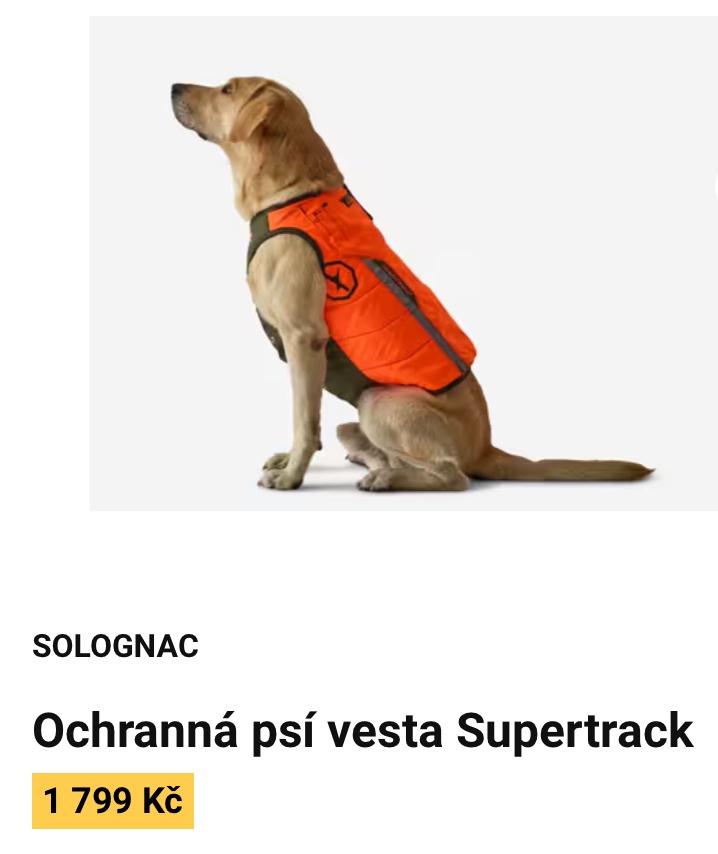 Vesta na psa - 5