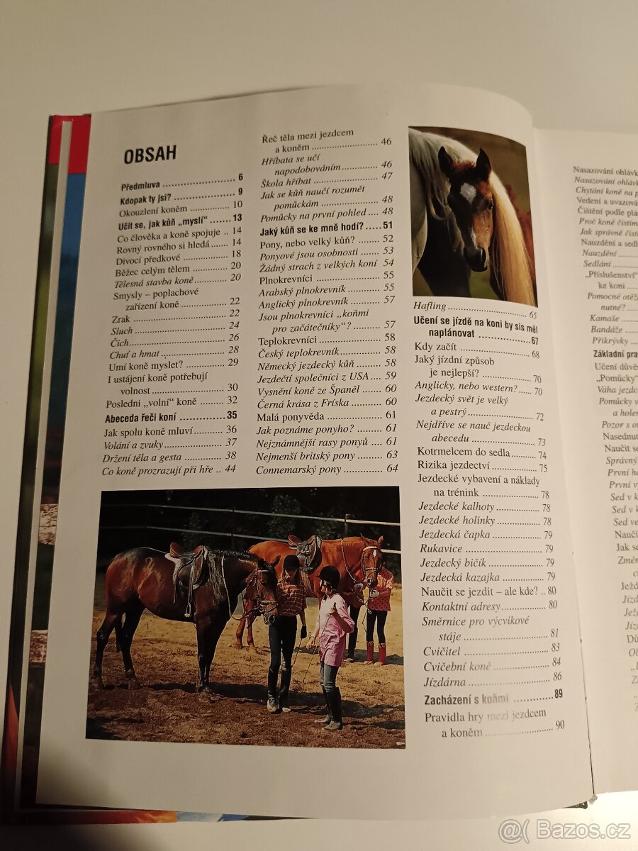 Škola jezdectví - 5