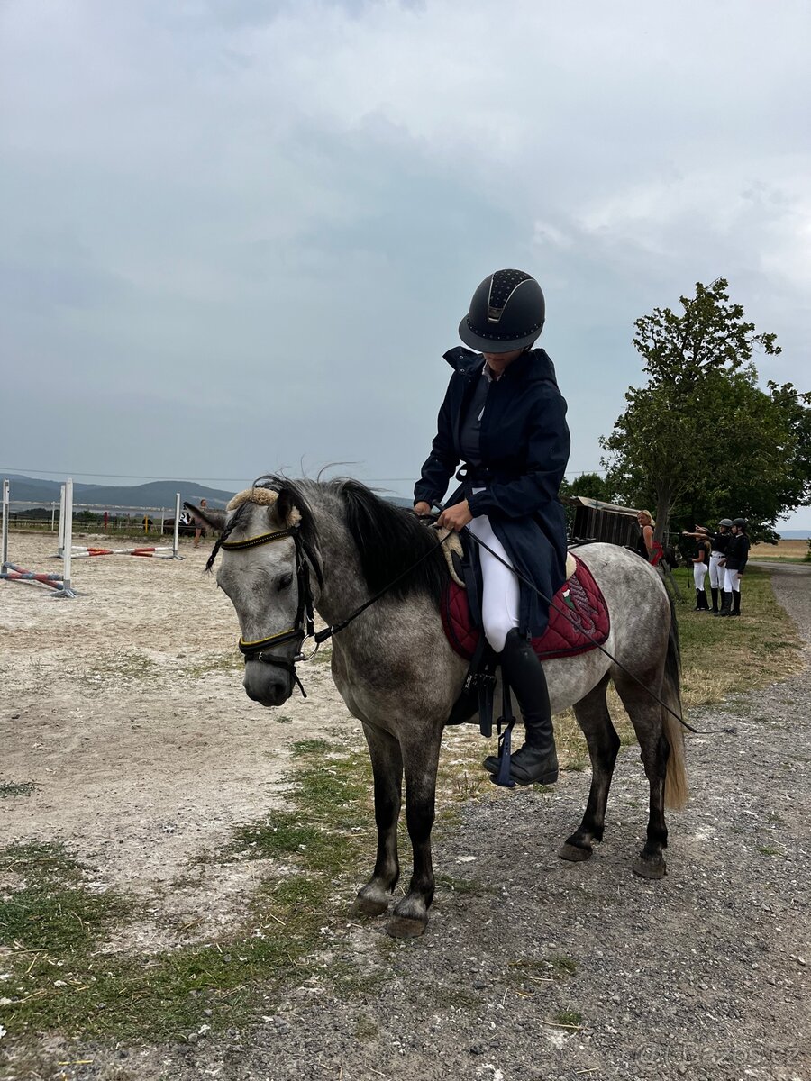 4 letý pony - 5