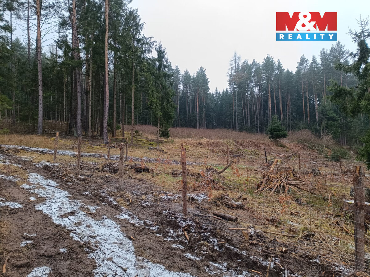 Prodej lesa, 37567 m², Vacovice - 5